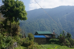 DSC05939p