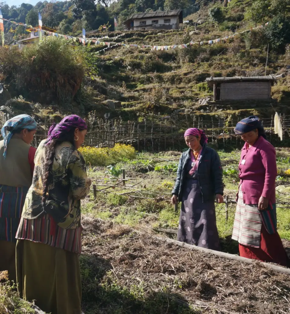 Femmes népalaises jardinHabitant du Népal et le pont de JakisurPont de Jakisur NépalRepas avec fourneau au NépalTransport de fourneauxCOnstruction de l'école de Jangden - actions humanitaires au Népal